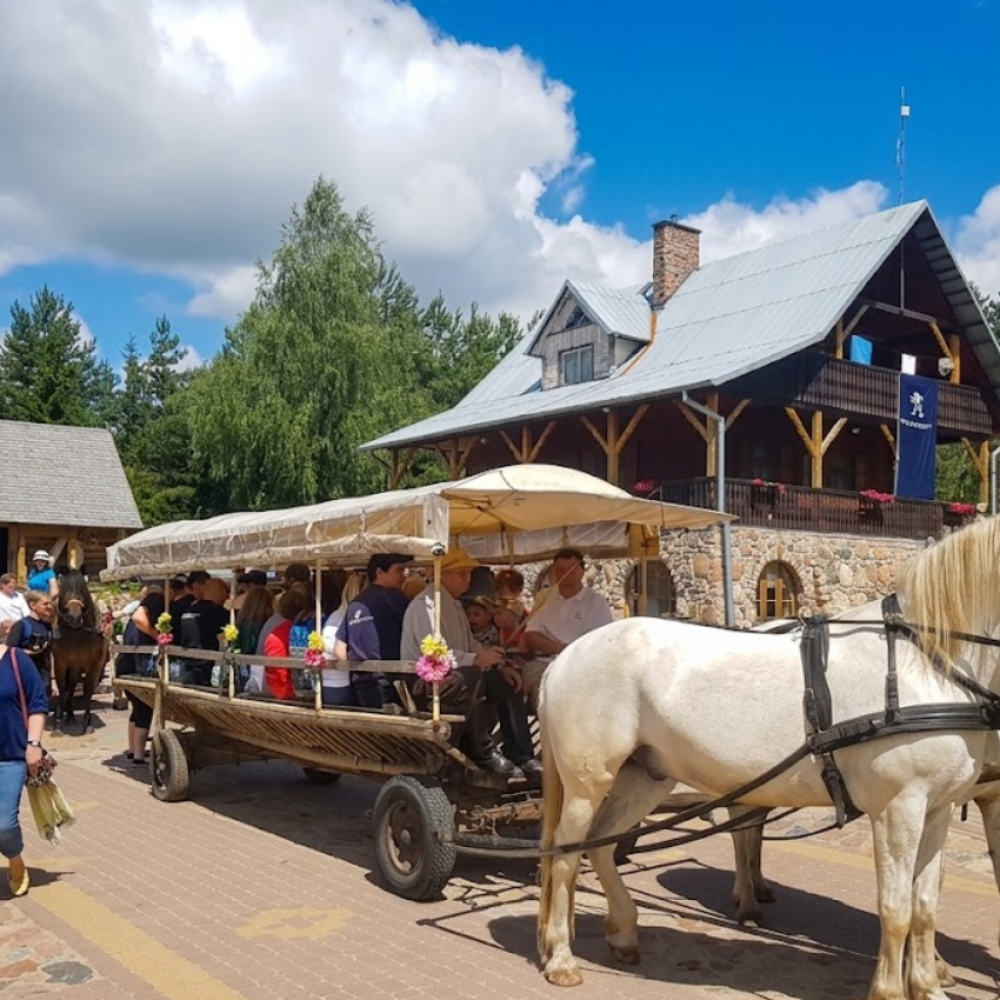 Przejażdżki bryczką (2)