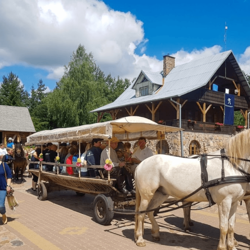 Przejażdżki bryczką (2)